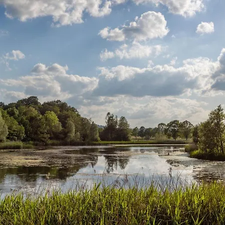 別荘 Seeblick I Terrasse I Aussicht I Wandern ヒレスハイム