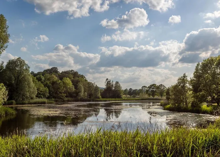 Holiday home Seeblick I Terrasse I Aussicht I Wandern Hillesheim (Vulkaneifel)